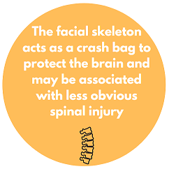 The facial skeleton acts as a crash bag to protect the brain and may be associated with less obvious spinal injury.