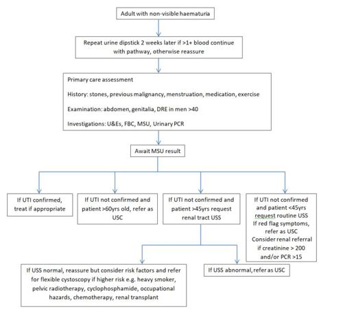 Occult or non-visible haematuria pathway and how a Occult or non-visible haematuria pathway is assessed and managed in adults.