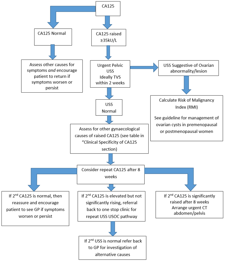 Flowchart of the steps for elevated CA125 investigations