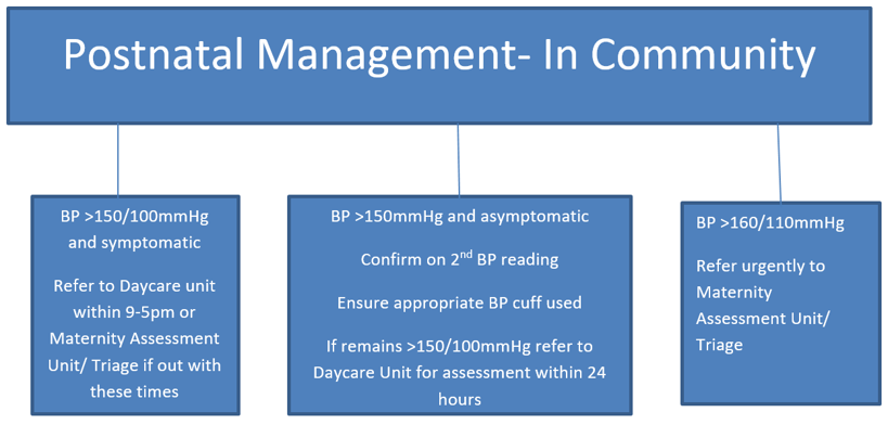 Postnatal hypertension management in the community - flowchart